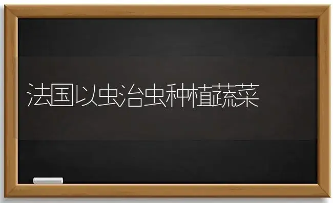 柑橘园肥害症状及预防措施 | 植物肥料