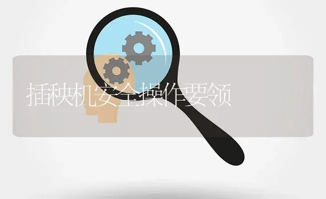 插秧机安全操作要领 | 农资农机