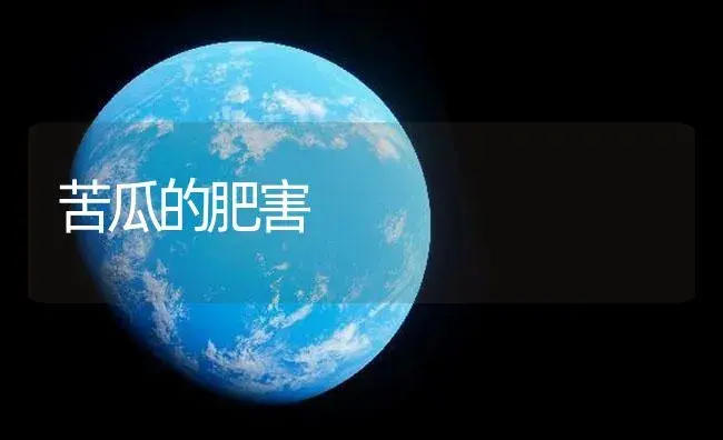 苦瓜的肥害 | 植物肥料