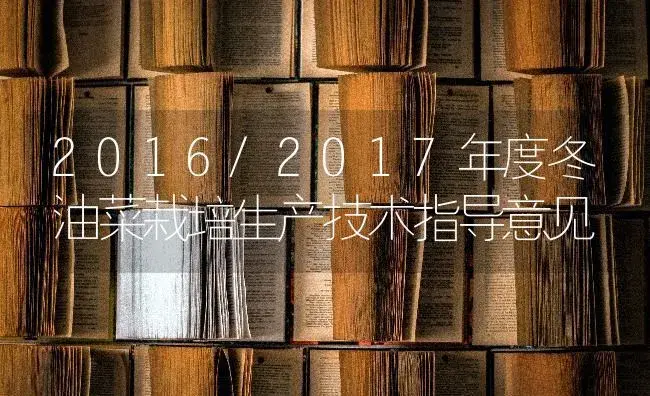 2016/2017年度冬油菜栽培生产技术指导意见 | 蔬菜种植