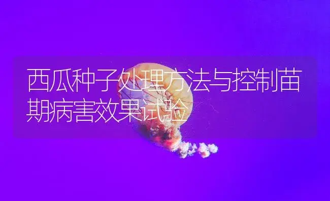 西瓜种子处理方法与控制苗期病害效果试验 | 植物病虫害