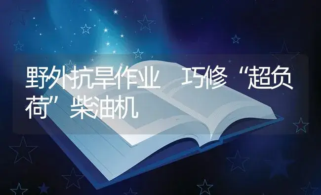 野外抗旱作业 巧修“超负荷”柴油机 | 农资农机