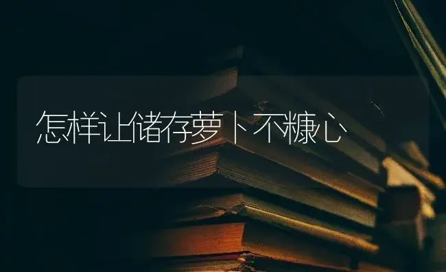 怎样让储存萝卜不糠心 | 蔬菜种植