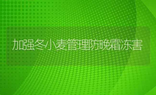 加强冬小麦管理防晚霜冻害 | 植物病虫害