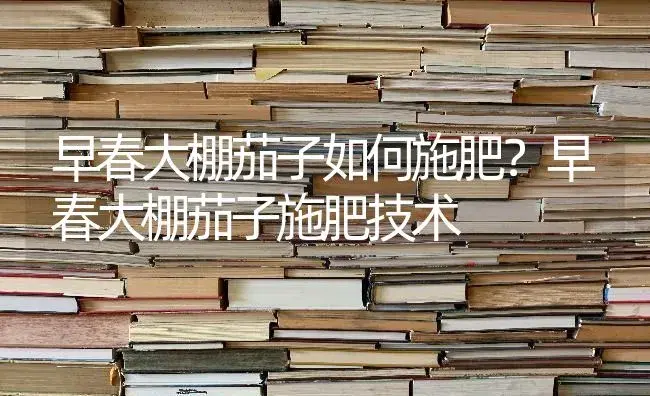 早春大棚茄子如何施肥？早春大棚茄子施肥技术 | 蔬菜种植