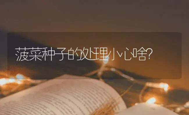 菠菜种子的处理小心啥？ | 蔬菜种植