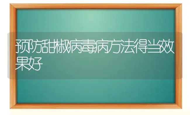 预防甜椒病毒病方法得当效果好 | 植物病虫害