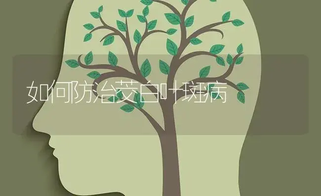 如何防治茭白叶斑病 | 蔬菜种植