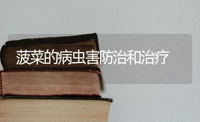 辣椒定植后要及时防治根腐病 | 蔬菜种植