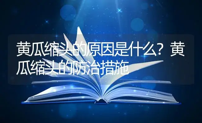 黄瓜缩头的原因是什么？黄瓜缩头的防治措施 | 蔬菜种植