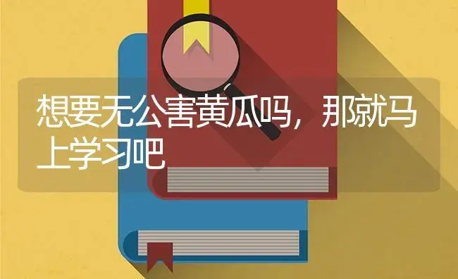 想要无公害黄瓜吗，那就马上学习吧 | 蔬菜种植