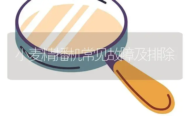 小麦精播机常见故障及排除 | 农资农机