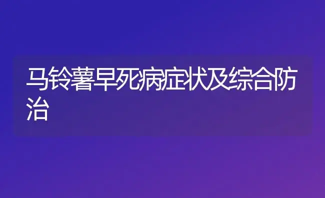 马铃薯早死病症状及综合防治 | 植物病虫害