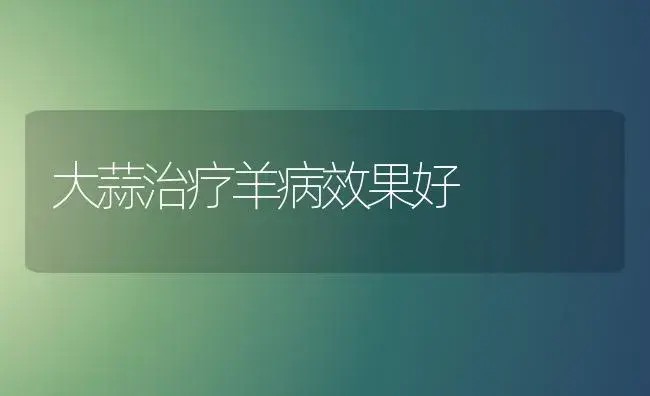 西瓜、甜瓜主要病虫害防治 | 植物病虫害