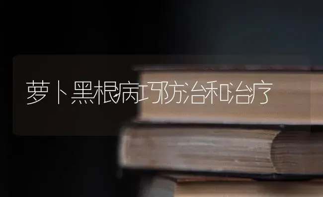 萝卜黑根病巧防治和治疗 | 蔬菜种植