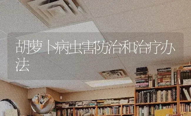 胡萝卜病虫害防治和治疗办法 | 蔬菜种植