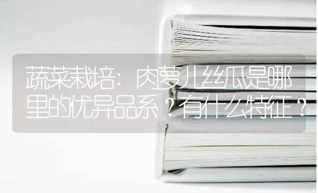 蔬菜栽培:肉萝儿丝瓜是哪里的优异品系？有什么特征？ | 蔬菜种植