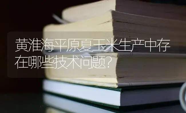 黄淮海平原夏玉米生产中存在哪些技术问题？ | 蔬菜种植