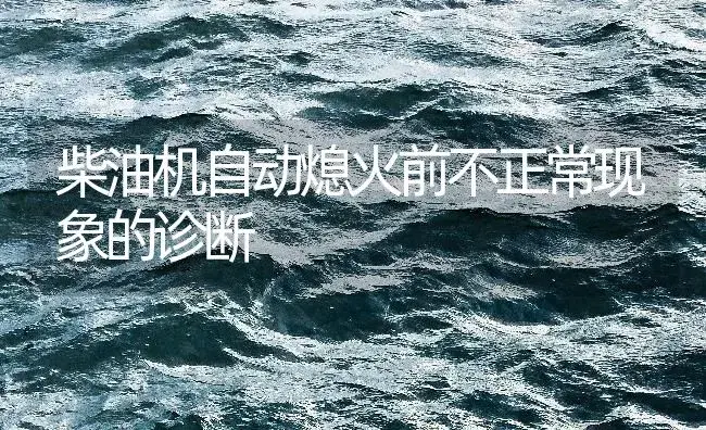 柴油机自动熄火前不正常现象的诊断 | 农资农机