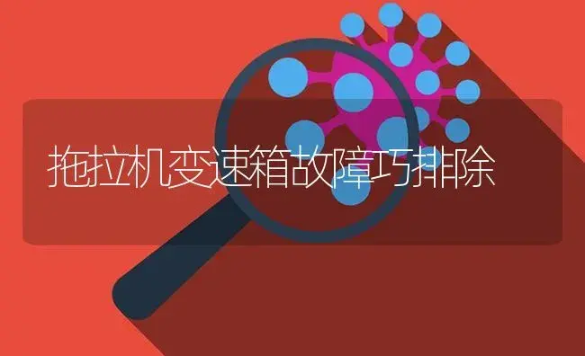 拖拉机变速箱故障巧排除 | 农资农机