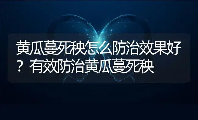 黄瓜蔓死秧怎么防治效果好？有效防治黄瓜蔓死秧 | 蔬菜种植