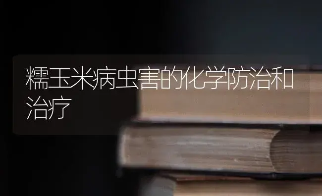 糯玉米病虫害的化学防治和治疗 | 蔬菜种植