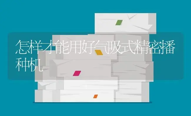 怎样才能用好气吸式精密播种机 | 农资农机
