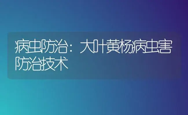 病虫防治：大叶黄杨病虫害防治技术 | 植物病虫害