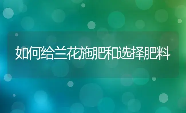 如何给兰花施肥和选择肥料 | 植物肥料