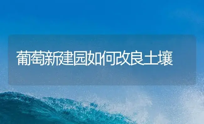 使用生物农药须注意气象条件 | 植物病虫害