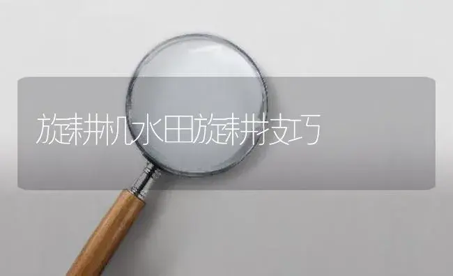 旋耕机水田旋耕技巧 | 农资农机