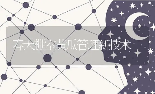 春天棚室黄瓜管理新技术 | 蔬菜种植