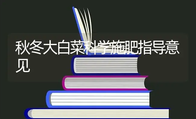 秋冬大白菜科学施肥指导意见 | 蔬菜种植