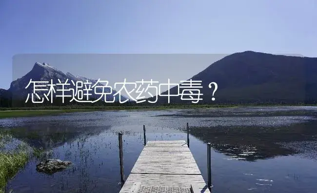 怎样避免农药中毒？ | 植物病虫害