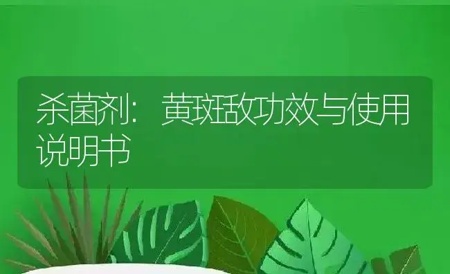 杀菌剂：黄斑敌 | 适用防治对象及农作物使用方法说明书 | 植物农药