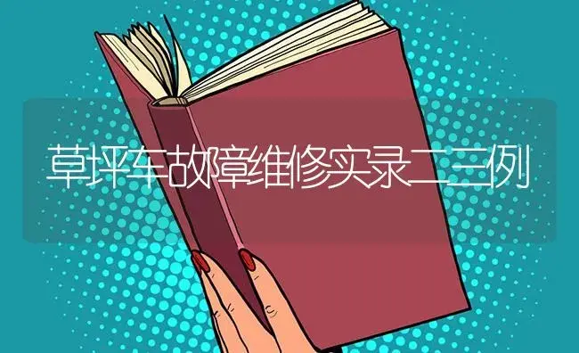 草坪车故障维修实录二三例 | 农资农机