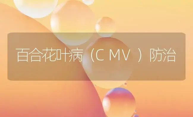 百合花叶病（CMV）防治 | 植物病虫害