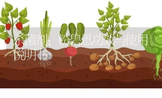 杀菌剂：粉碧思 | 适用防治对象及农作物使用方法说明书 | 植物农药