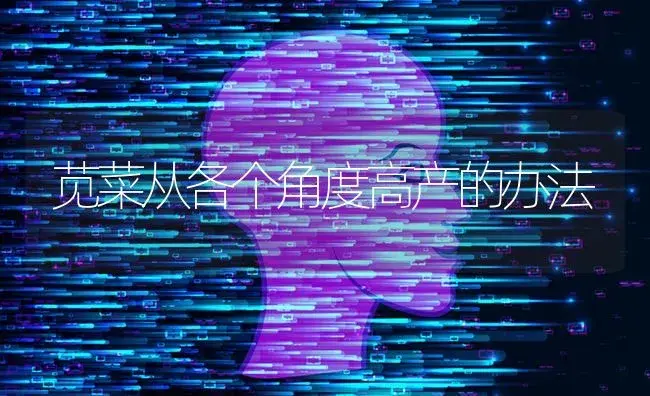 苋菜从各个角度高产的办法 | 蔬菜种植