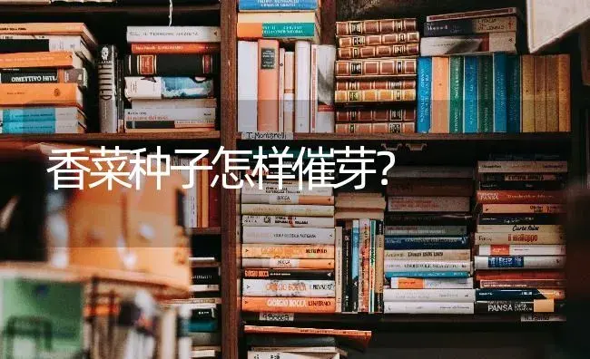 蔬菜栽培:介绍几个丝瓜的品类 | 蔬菜种植