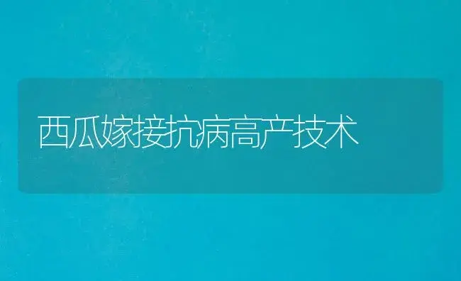 西瓜嫁接抗病高产技术 | 植物病虫害