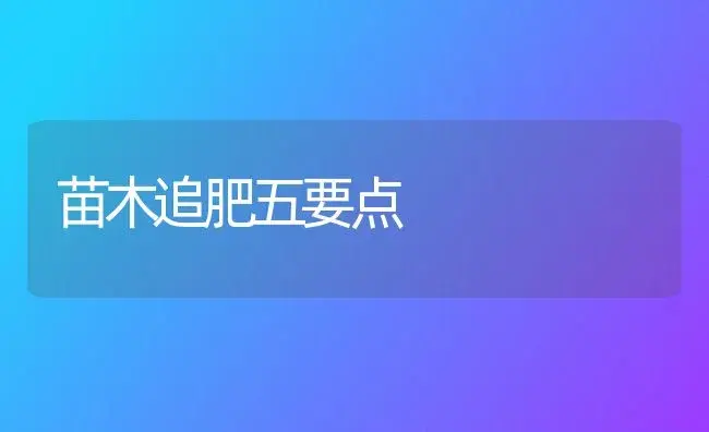 苗木追肥五要点 | 植物肥料