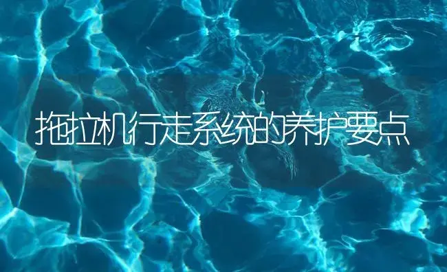 拖拉机行走系统的养护要点 | 农资农机