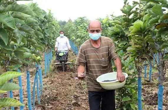 春耕时节这些肥料谨慎购买，有的自己就能做，省钱还实惠