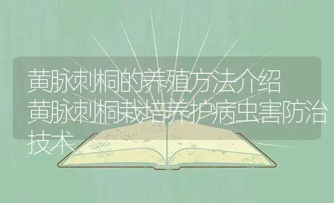 黄脉刺桐的养殖方法介绍 黄脉刺桐栽培养护病虫害防治技术 | 植物病虫害