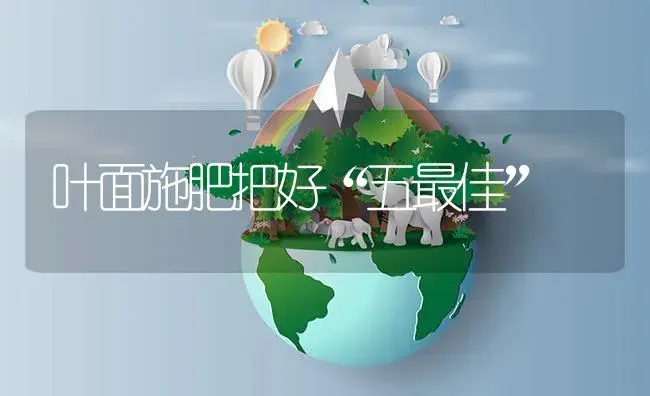 叶面施肥把好“五最佳” | 植物肥料