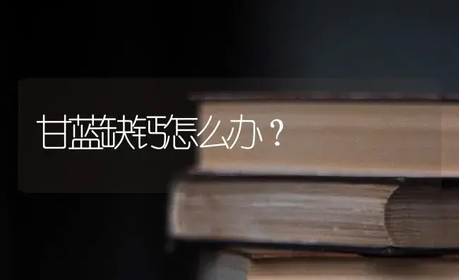 甘蓝缺钙怎么办？ | 蔬菜种植