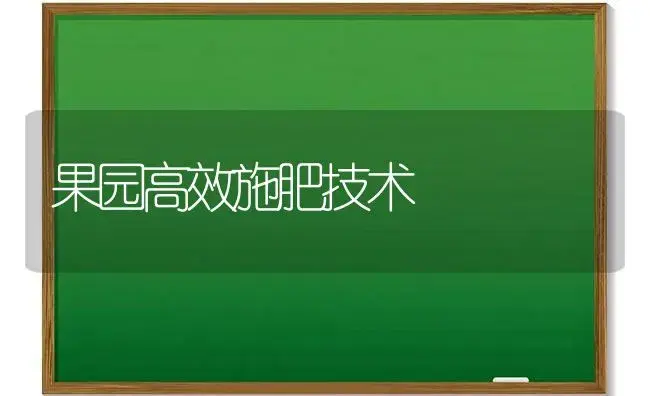 果园高效施肥技术 | 植物肥料