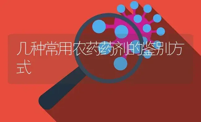 几种常用农药药剂的鉴别方式 | 植物病虫害