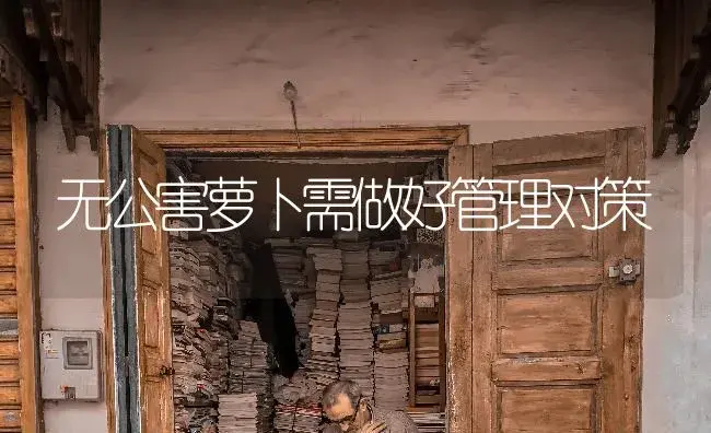 无公害萝卜需做好管理对策 | 蔬菜种植